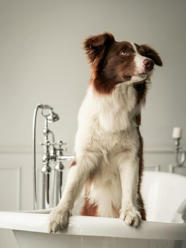 pexels-miami302-8343344